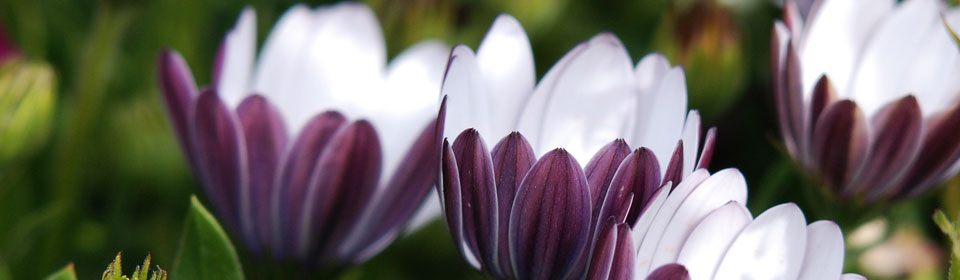 在线DDOS压力测试网页端