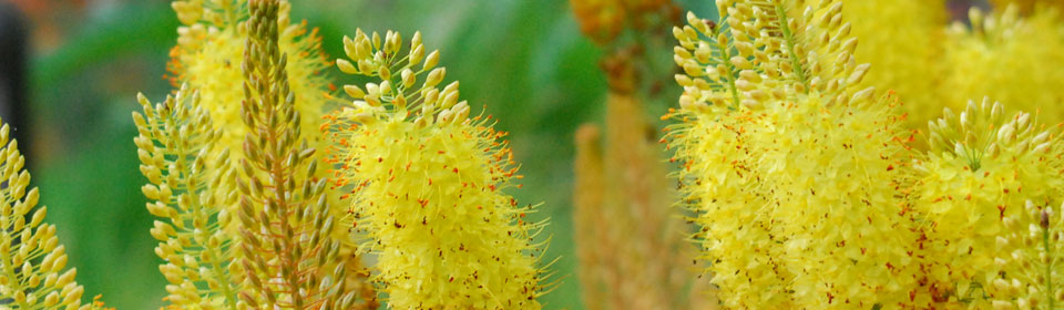 DDOS压力测试网页端