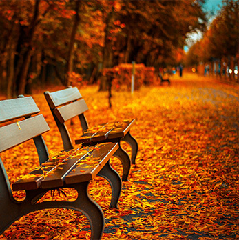 一键服务启停的DDOS网页端源码