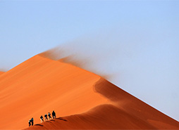 手机攻击器APP下载